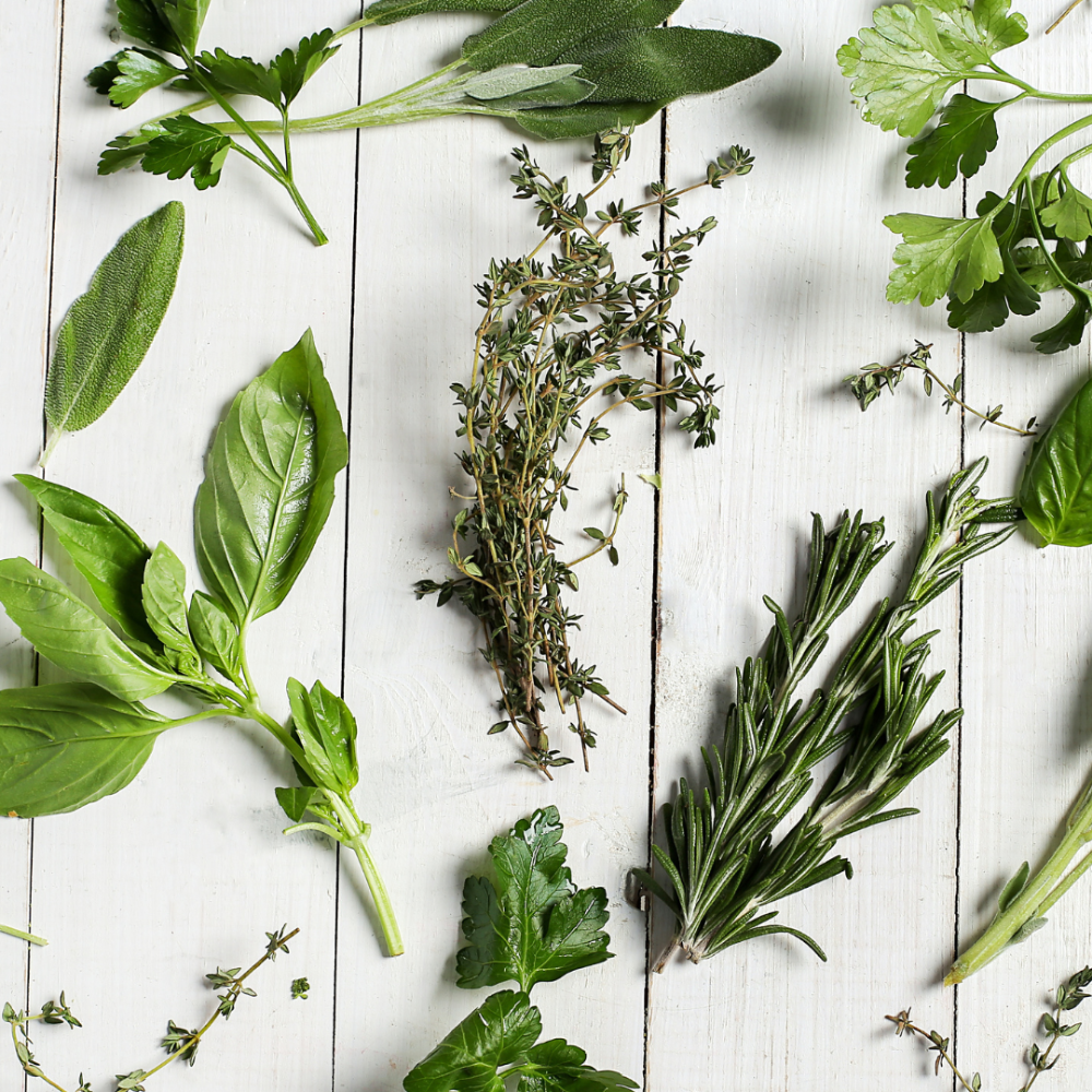 7 Unique Herbs for Juicing