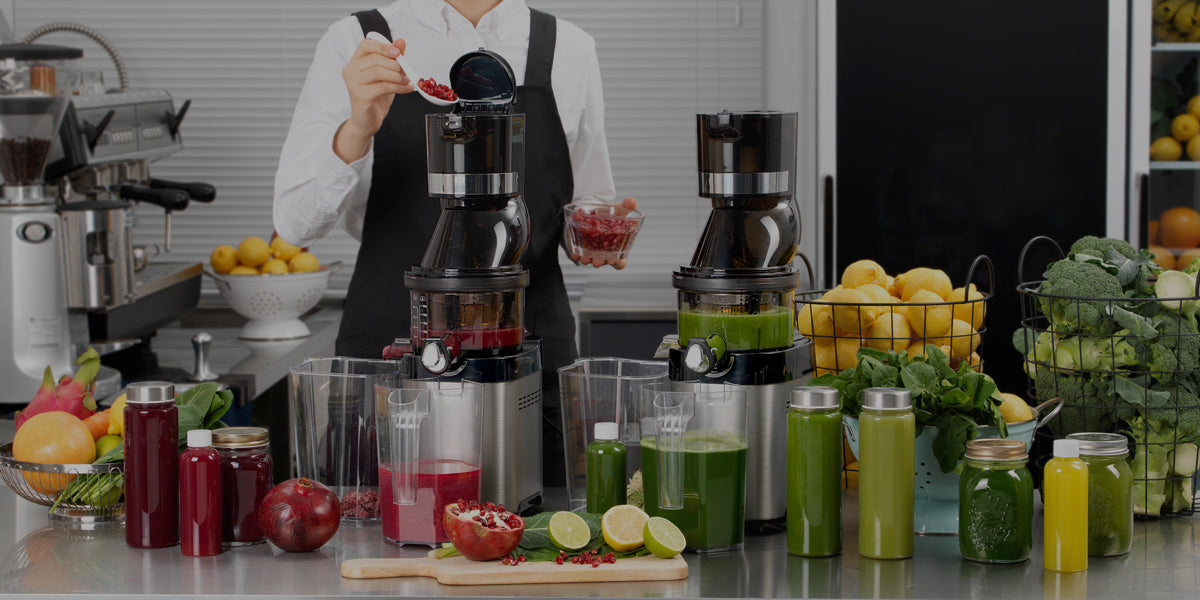 Commercial slow juicer sale